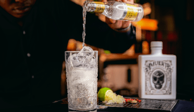 Tonic Water: how to chose the best one for your perfect Gin & Tonic?
