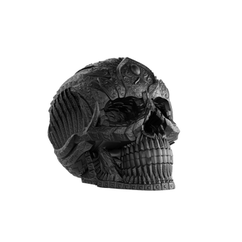 Amuerte Amuerte Matte Black Skull