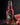 Amuerte TH Vivid Watermelon (4-Pack)