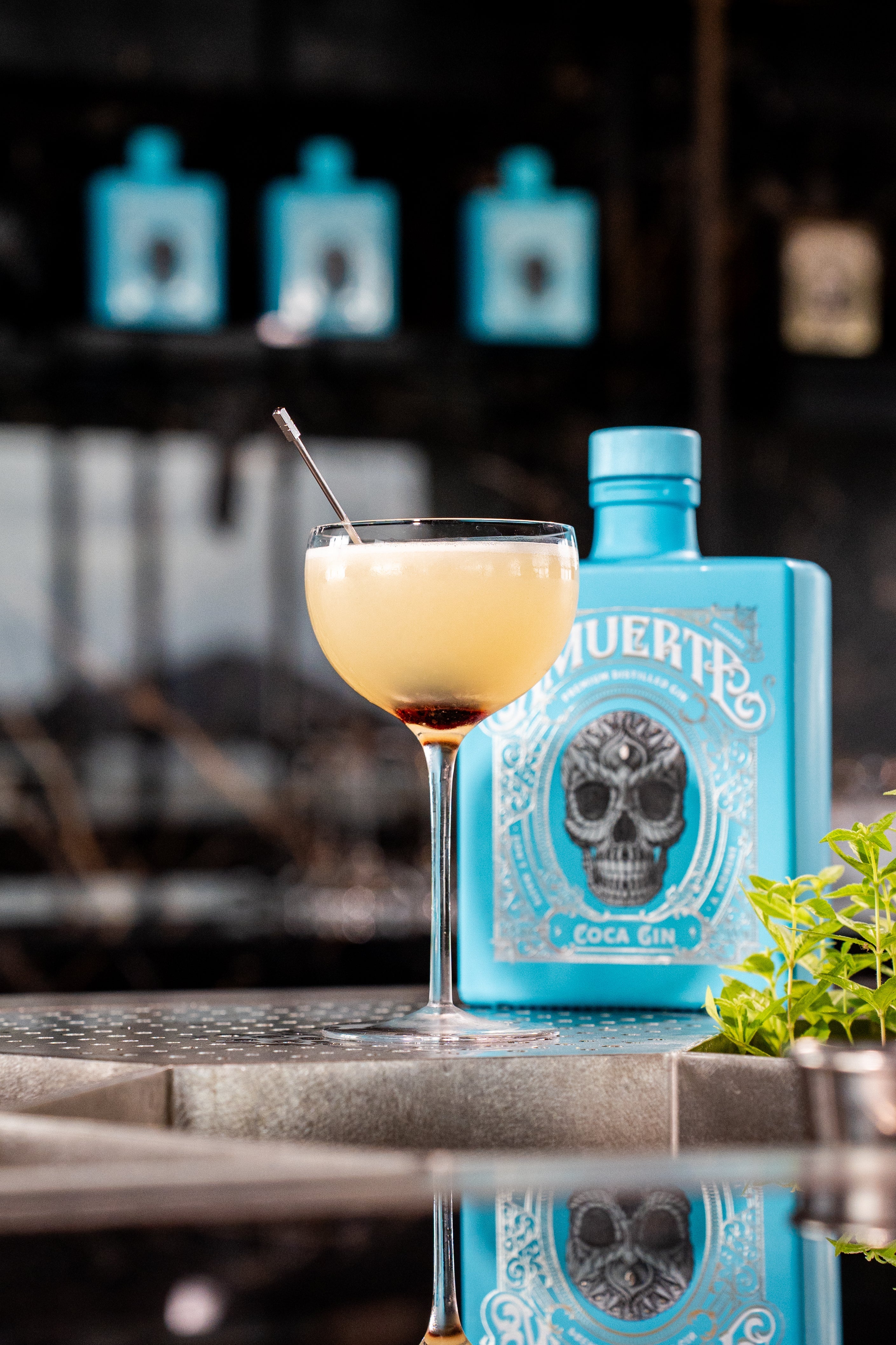 Light Blue (Limited Edition '26) – Amuerte