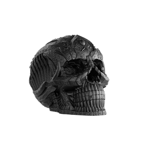 Amuerte Amuerte Matte Black Skull
